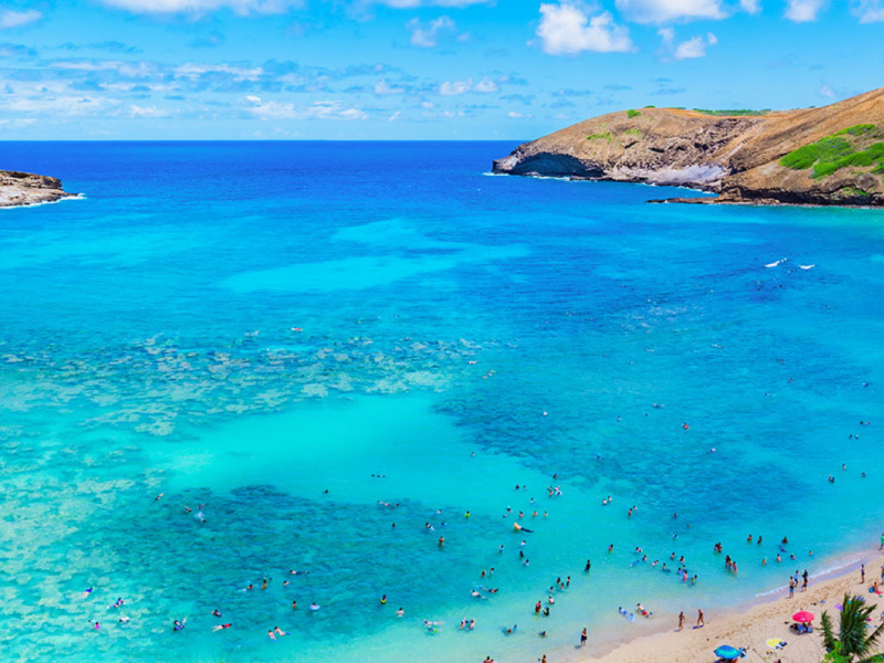 Top Beaches to Visit in Waikiki